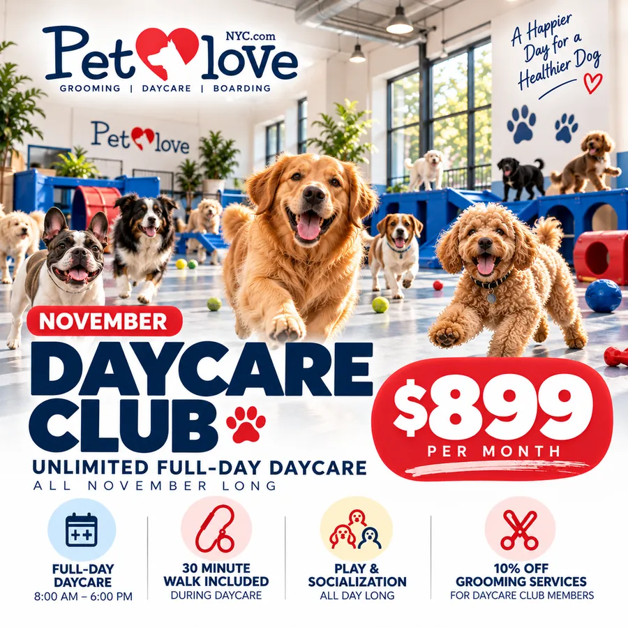 November Daycare Club: unlimited full-day daycare all November long for $899 per month. Full-day daycare 8:00 AM to 6:00 PM, 30 minute walk included, play and socialization all day long, 10% off grooming services for members. Call to join.