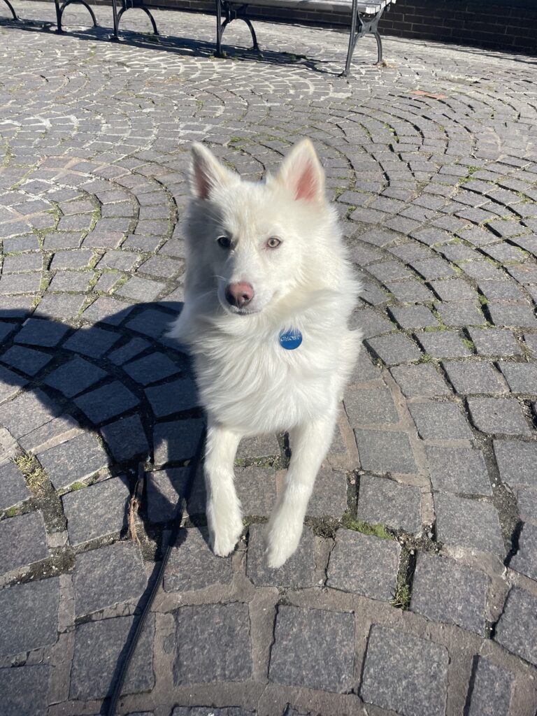 Ghost