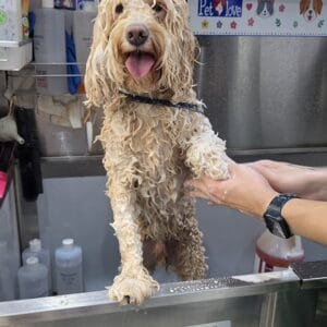 Bath Package