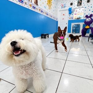 Daycare